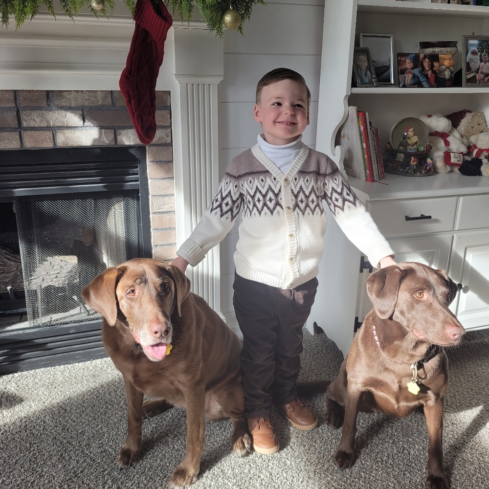 Boys White and Brown Tan Button Sweater